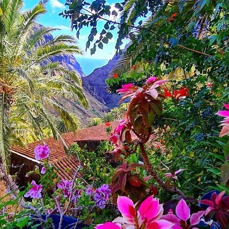 Ocean View Tenerife ซานมิเกลเดียโบนา ภายนอก รูปภาพ