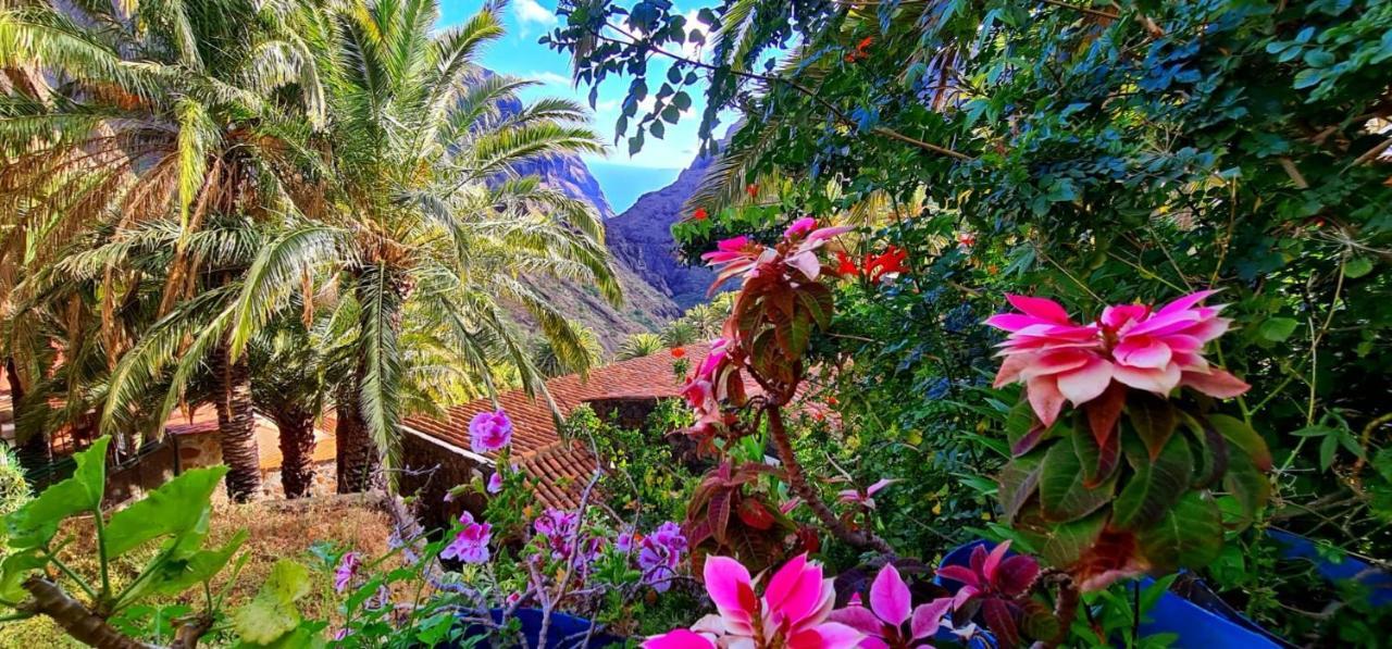 Ocean View Tenerife ซานมิเกลเดียโบนา ภายนอก รูปภาพ